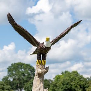 Image post by @nysga1923 on Instagram