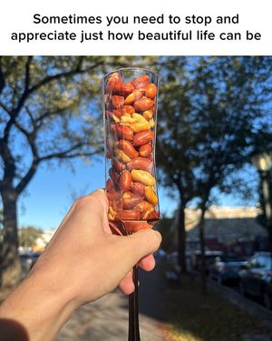 Image post by @mrpeanut on Facebook