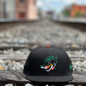 Image post by @gowoodducks on Instagram