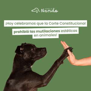 Image post by @tierradenando on Instagram