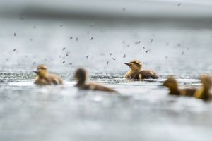 Image post by @huntsphotovideo on Instagram