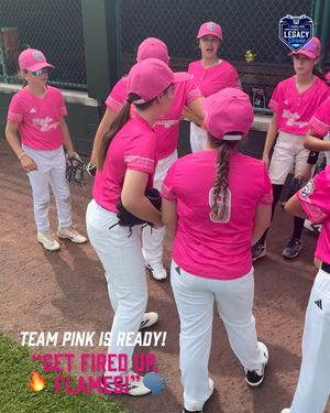 Image post by @littleleague on Instagram