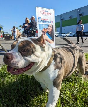 Image post by @petsmart on Instagram