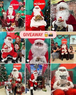 Image post by @petsmart on Instagram