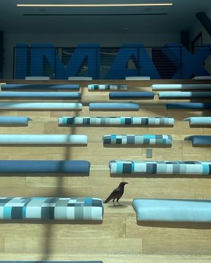 Image post by @imax on Instagram