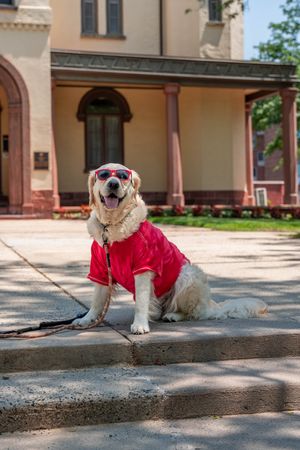 Image post by @rutgersu on Instagram