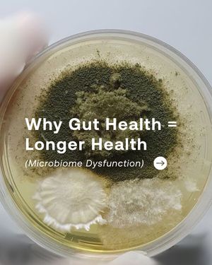 Image post by @im8health on Instagram