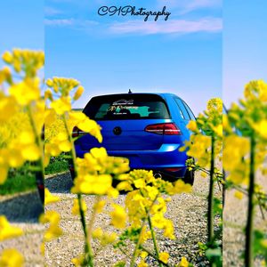 Image post by @c91photography on Instagram