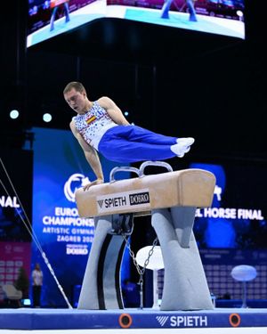 Image post by @ou_mgymnastics on Instagram
