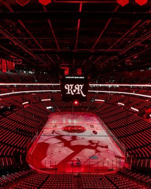 Image post by @amerantbankarena on Instagram