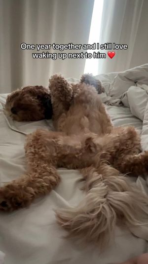 Video post by @tedflixnchill on TikTok