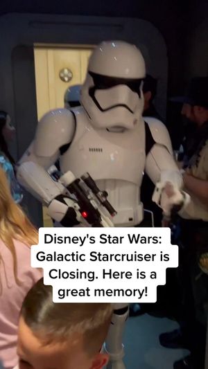 Video post by @livinglocurto on TikTok