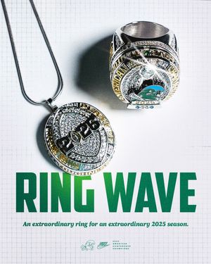 Image post by @greenwavefb on Instagram