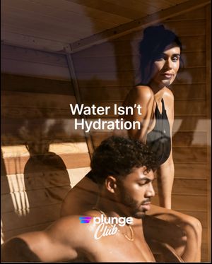 Image post by @plunge on Instagram