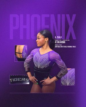 Video post by @LSUgym on Twitter