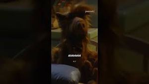 Video post by @peacock on YouTube
