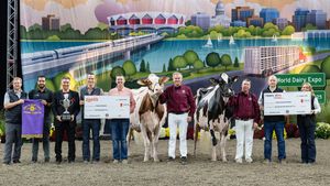 Image post by @wdexpo on Instagram