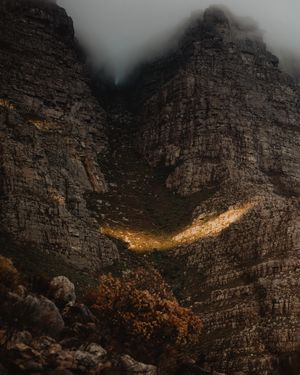 Image post by @roywrench on Instagram