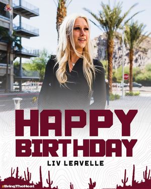 Image post by @womenshockeyasu on Instagram