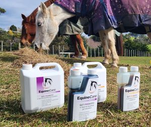 Image post by @equinecareprobiotic on Instagram