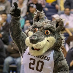 Image post by @gobonnies on Instagram