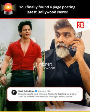 Image post by @officialrapidbollywood on Instagram