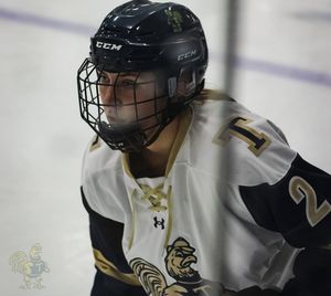 Image post by @sabrinaacodrington on Instagram