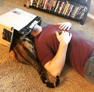 Image post by @amazon on Instagram