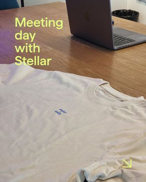 Image post by @stellaragency on Instagram