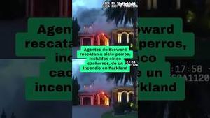 Video post by @laopinionla on YouTube