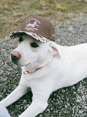 Image post by @staycountry on Instagram