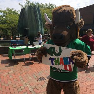 Image post by @marshallu on Instagram