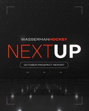 Image post by @the.team.hockey on Instagram