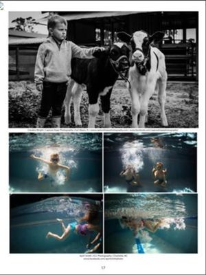 Image post by @AprilSmithPhoto on Facebook