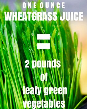 Image post by @certifiedhealthnut on Instagram