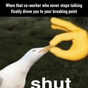 Image post by @9gag on Instagram