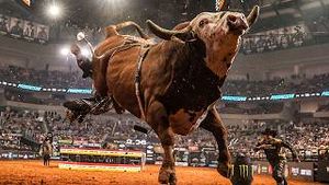 Video post by @pbr on YouTube