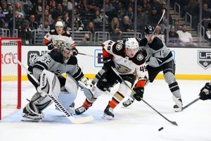 Image post by @anaheimducks on Instagram