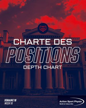 Image post by @mtlalouettes on Instagram