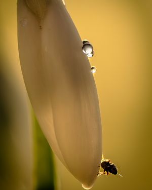 Image post by @sony.deutschland.at on Instagram