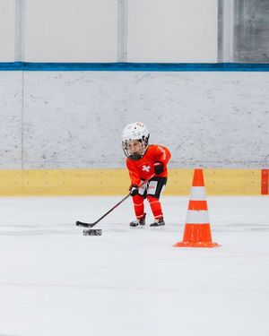 Image post by @swissicehockeywomen on Instagram