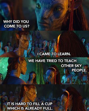 Image post by @avatar on Instagram