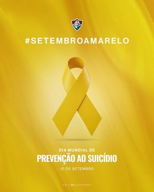 Image post by @fluminensefc on Instagram