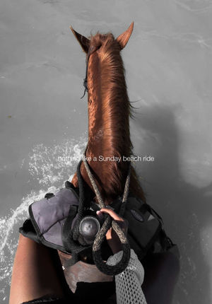 Video post by @lizaotovo on TikTok