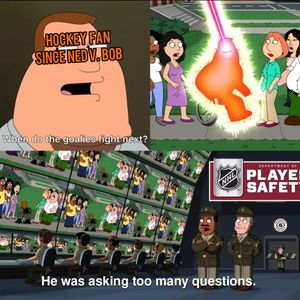 Image post by @hockeyfights on Instagram