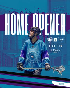 Image post by @rocknighthawks on Instagram