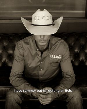 Image post by @palms on Instagram