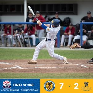 Image post by @wne_goldenbears on Instagram