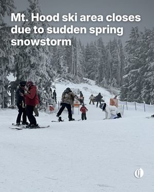 Image post by @theoregonian on Instagram