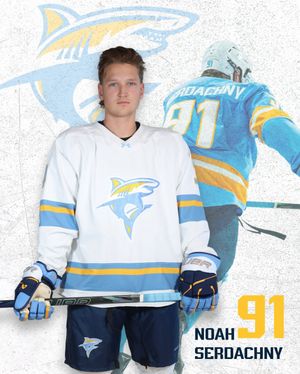 Image post by @liumhockey on Instagram